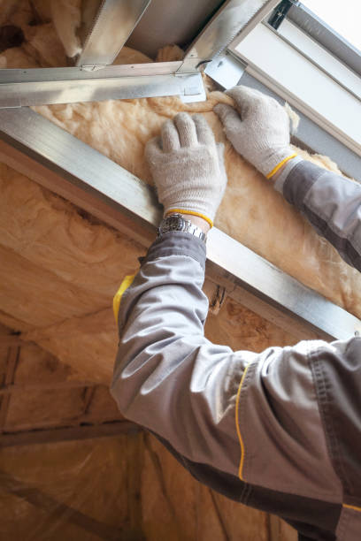 Best Garage Insulation Installation  in Snow Hill, NC