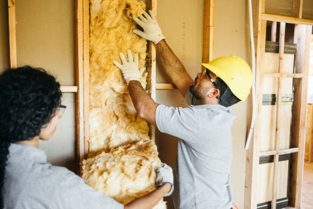 Best Local Insulation Services  in Snow Hill, NC