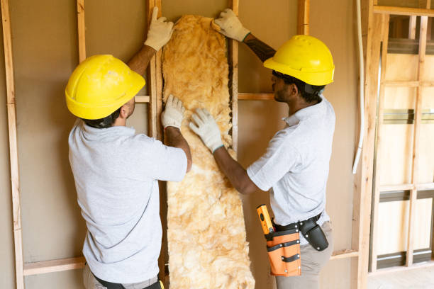 Best Insulation Contractors for Homes  in Snow Hill, NC