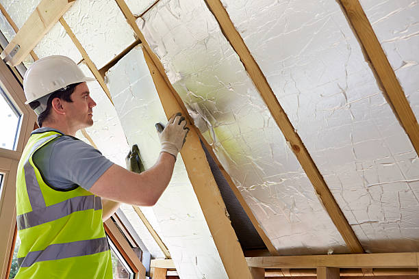 Best Energy-efficient Insulation  in Snow Hill, NC