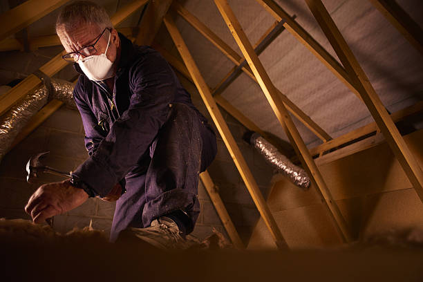 Best Home Insulation Services  in Snow Hill, NC